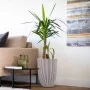 Capi Jarrón elegante Groove marfil 46x58 cm by , Pots and planters - Ref: Foro24-445499, Price: 148,44 €, Discount: %