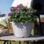 Capi Macetero con forma cónica bajo Arc Granite marfil 34x25 cm by , Pots and planters - Ref: Foro24-442107, Price: 41,43 €, ...