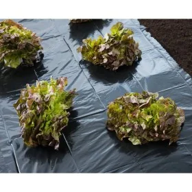 Nature Lona de suelo negra 3x4 m 100µ von , Gartenzubehör - Ref: Foro24-446374, Preis: 21,54 €, Rabatt: %