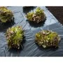 Nature Lona de suelo negra 3x4 m 100µ von , Gartenzubehör - Ref: Foro24-446374, Preis: 21,54 €, Rabatt: %