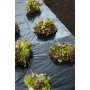 Nature Lona de suelo negra 3x4 m 100µ von , Gartenzubehör - Ref: Foro24-446374, Preis: 21,54 €, Rabatt: %