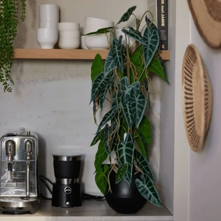 Emerald Alocasia artificial en maceta 75 cm by , artificial flora - Ref: Foro24-444648, Price: 42,07 €, Discount: %