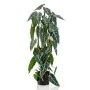 Emerald Alocasia artificial en maceta 75 cm by , artificial flora - Ref: Foro24-444648, Price: 42,07 €, Discount: %