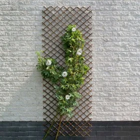 Nature Enrejado de jardín sauce natural marrón 30x180 cm by , Pergolas, arches and garden trellises - Ref: Foro24-446397, Pri...