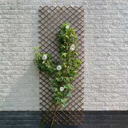 Nature Enrejado de jardín sauce natural marrón 30x180 cm de , Pérgolas, arcos y enrejados de jardín - Ref: Foro24-446397, Pre...