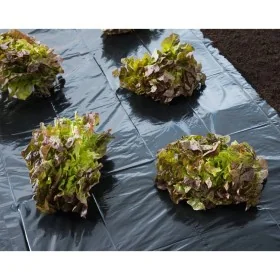 Nature Lona de suelo negro 3x4 m 150µ von , Gartenzubehör - Ref: Foro24-446376, Preis: 23,89 €, Rabatt: %