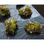 Nature Lona de suelo negro 3x4 m 150µ de , Accesorios de jardinería - Ref: Foro24-446376, Precio: 23,87 €, Descuento: %
