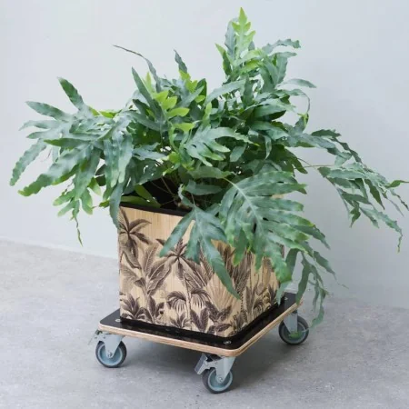 Nature Soporte con ruedas para plantas cuadrado madera negro 38x38 cm by , Pot stands - Ref: Foro24-446407, Price: 45,41 €, D...