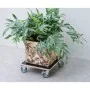 Nature Soporte con ruedas para plantas cuadrado madera negro 38x38 cm by , Pot stands - Ref: Foro24-446407, Price: 45,41 €, D...