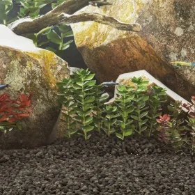 Grava de basalto negra 25 kg 1-3 mm by , Substrates and sand for aquariums - Ref: Foro24-155296, Price: 55,81 €, Discount: %