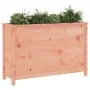Arriate elevado de jardín madera abeto Douglas 119,5x40x78 cm de , Maceteros y jardineras - Ref: Foro24-825294, Precio: 124,3...