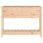 Jardinera con estante madera maciza de pino 111,5x34,5x81 cm de , Maceteros y jardineras - Ref: Foro24-823766, Precio: 87,64 ...