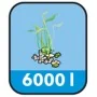 Ubbink Set de filtros de estanque FiltraClear 6000 PlusSet 1355166 by , Accessories for ponds and fountains - Ref: Foro24-401...