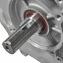Motor de gasolina 15 HP 11 kW negro de , Generadores - Ref: Foro24-141247, Precio: 483,81 €, Descuento: %