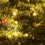 Árboles de Navidad artificiales 2 uds corona, guirnalda y LED by , Christmas trees - Ref: Foro24-344648, Price: 111,55 €, Dis...