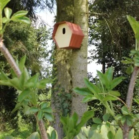 Capi Casita para pájaros Hive 2 agujero ovalado marrón 19x23x20 cm by , Birdhouses - Ref: Foro24-447495, Price: 25,25 €, Disc...