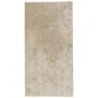 Alfombra pelo largo aspecto brillante ISTAN beige 100x200 cm de , Alfombras - Ref: Foro24-375651, Precio: 49,62 €, Descuento: %