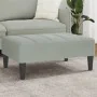 Light gray velvet footrest 77x55x31 cm by , Ottomans - Ref: Foro24-4007384, Price: 67,74 €, Discount: %