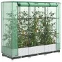 Arriate con cubierta invernadero aspecto ratán 120x40x123 cm by , Pots and planters - Ref: Foro24-4015839, Price: 86,08 €, Di...