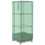 Arriate con cubierta invernadero aspecto ratán 40x40x123 cm by , Pots and planters - Ref: Foro24-4015851, Price: 42,79 €, Dis...