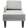 Tumbona almohada y reposabrazo derecho terciopelo gris claro by , Daybeds - Ref: Foro24-4009807, Price: 105,77 €, Discount: %