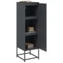 Aparador de acero gris antracita 36x39x123 cm de , Aparadores - Ref: Foro24-846526, Precio: 100,16 €, Descuento: %