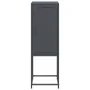 Aparador de acero gris antracita 36x39x107 cm de , Aparadores - Ref: Foro24-846532, Precio: 67,74 €, Descuento: %