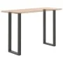 Patas mesa centro forma U 2uds acero antracita 50x(110-111) cm von , Tischbeine - Ref: Foro24-4013246, Preis: 107,50 €, Rabat...
