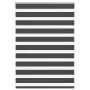 Estor cebra negro 100x100 cm tejido ancho 95,9 cm poliéster by , Blinds and blinds - Ref: Foro24-4014209, Price: 23,12 €, Dis...