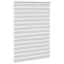 Estor cebra gris claro 160x200cm tejido ancho 155,9cm poliéster de , Persianas y estores - Ref: Foro24-4014481, Precio: 37,41...