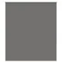 Estor Enrollable Opaco gris 125x130 cm Tela Ancho 121,6 cm by , Blinds and blinds - Ref: Foro24-4011107, Price: 26,67 €, Disc...
