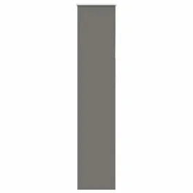 Estor Enrollable Opaco gris 50x210 cm Tela Ancho 45,7 cm by , Blinds and blinds - Ref: Foro24-4011170, Price: 19,12 €, Discou...