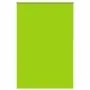 Estor Enrollable Opaco hojas verde 145x210cm Tela Ancho 141,6cm by , Blinds and blinds - Ref: Foro24-4011319, Price: 29,52 €,...