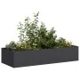 Jardinera de acero laminado en frío negro 200x80x40 cm von , Töpfe und Pflanzgefäße - Ref: Foro24-860752, Preis: 107,85 €, Ra...
