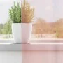 Cortinas de gasa con ojales 2 uds rosa claro 140x260 cm by , Curtains and curtains - Ref: Foro24-4102087, Price: 15,55 €, Dis...