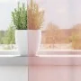 Cortinas de gasa con ojales 2 uds rosa claro 140x225 cm von , Vorhänge und Gardinen - Ref: Foro24-4102085, Preis: 14,79 €, Ra...