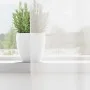 Cortinas de gasa con bolsillos para varillas 2 uds. blanco by , Curtains and curtains - Ref: Foro24-4102244, Price: 14,65 €, ...