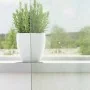 Cortinas de gasa con trabillas 2 uds gris claro 140x245 cm de , Cortinas y visillos - Ref: Foro24-4102299, Precio: 14,92 €, D...