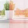 Cortinas de gasa con trabillas 2 uds rosa 140x140 cm von , Vorhänge und Gardinen - Ref: Foro24-4102286, Preis: 14,11 €, Rabat...