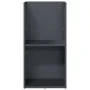 Leñero antracita 40x30x80 cm Acero laminado en frío de , Bolsas y soportes de leña - Ref: Foro24-864189, Precio: 80,61 €, Des...