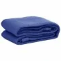 Alfombra para tienda de campaña azul 250x350 cm de , Accesorios para tiendas de campaña - Ref: Foro24-310722, Precio: 26,64 €...