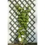 Nature Enrejado de jardín de madera verde 50x150 cm von , Pergolen, Bögen und Gartenspaliere - Ref: Foro24-419737, Preis: 15,...
