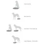 FitPAWS Disco de equilibrio para mascotas azul 56 cm by , Pet Exercise Equipment - Ref: Foro24-433819, Price: 92,84 €, Discou...