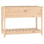 Jardinera con estante de madera maciza de pino 111,5x54x81 cm de , Maceteros y jardineras - Ref: Foro24-823787, Precio: 112,9...