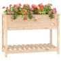 Jardinera con estante de madera maciza de pino 111,5x54x81 cm de , Maceteros y jardineras - Ref: Foro24-823787, Precio: 112,9...