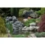 Ubbink Filtro para estanques FiltraPure 4000 26 L 1355967 by , Accessories for ponds and fountains - Ref: Foro24-409300, Pric...