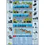 Ubbink Filtro para estanques FiltraPure 4000 26 L 1355967 by , Accessories for ponds and fountains - Ref: Foro24-409300, Pric...