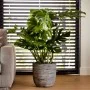 Capi Macetero Nature Rib gris antracita 43x41 cm KOFZ933 de , Maceteros y jardineras - Ref: Foro24-424243, Precio: 96,30 €, D...