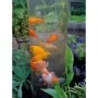 Ubbink Torre para peces 50 cm acrílico 1372160 von , Zubehör für Teiche und Brunnen - Ref: Foro24-409285, Preis: 116,23 €, Ra...