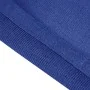 Alfombra para tienda de campaña HDPE azul 200x300 cm von , Zeltzubehör - Ref: Foro24-310717, Preis: 24,12 €, Rabatt: %